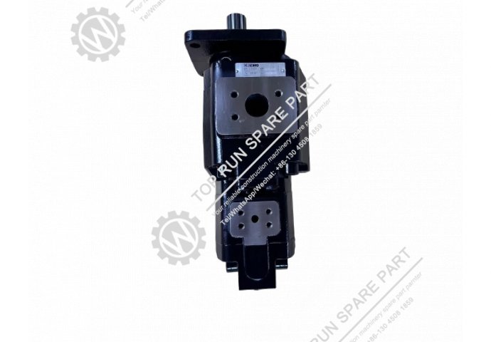 ZL50GN 803013093 Duplex pump