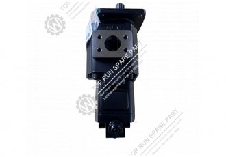 ZL50GN 803013093 Duplex pump