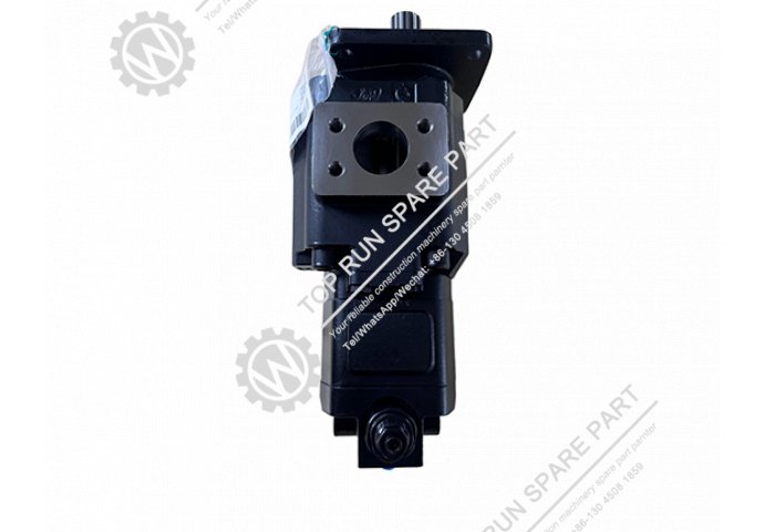ZL50GN 803013093 Duplex pump