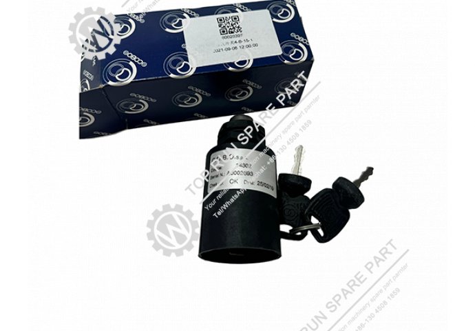 Switch GP Key 60020397 XCMG