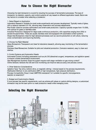 How to Choose the Right Bioreactor