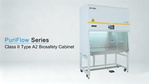 Class II Type A2, PuriFlow Series